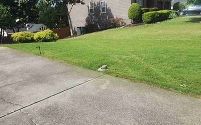 Photo of James D.'s yard after getting lawn care in Irvington, NJ