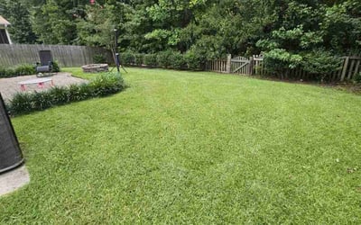 Photo of Lorraine G.'s yard after getting lawn care in Hollywood, FL