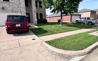 Photo of Taylor N.'s yard after getting lawn care in Watertown, NY