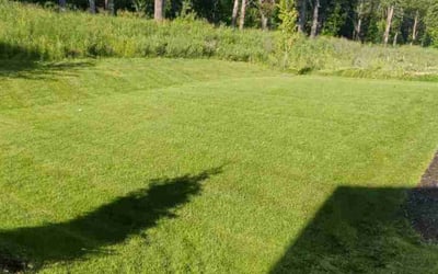 Photo of Candie B.'s yard after getting lawn care in Cottage Grove, MN