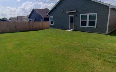 Photo of Zach G.'s yard after getting lawn care in Del Valle, TX