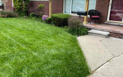 Photo of Gladys C.'s yard after getting lawn care in Marietta, GA