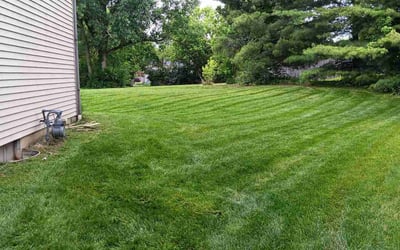 Photo of Mandy H.'s yard after getting lawn care in Lewes, DE