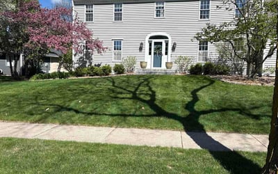 Photo of Dana D.'s yard after getting lawn care in Herriman, UT