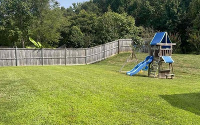 Photo of Jackie J.'s yard after getting lawn care in Greensboro, NC