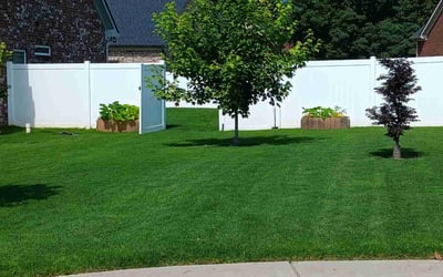 Photo of Rick W.'s yard after getting lawn care in Blue Springs, MO
