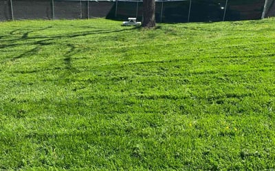 Photo of Dan C.'s yard after getting lawn care in Sevierville, TN