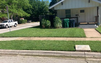 Photo of Dorothy M.'s yard after getting lawn care in Moncks Corner, SC