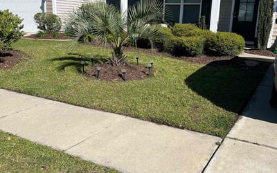 Photo of Velda C.'s yard after getting lawn care in North Myrtle Beach, SC