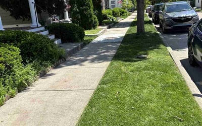Photo of Justin R.'s yard after getting lawn care in The Colony, TX