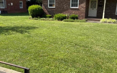Photo of Michelle P.'s yard after getting lawn care in Canton, NC