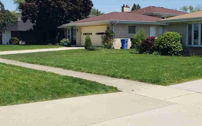 Photo of Kaprice M.'s yard after getting lawn care in Hillside, NJ