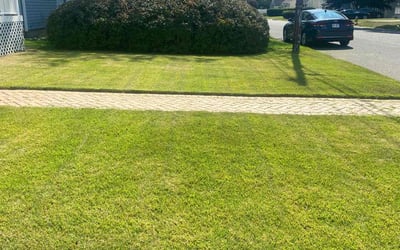 Photo of Robert S.'s yard after getting lawn care in Deer Park, NY