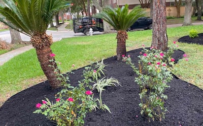 Photo of Katherine M.'s yard after getting lawn care in Porter, TX