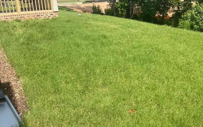 Photo of James L.'s yard after getting lawn care in Fuquay Varina, NC