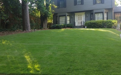 Photo of Levy P.'s yard after getting lawn care in Chickamauga, GA