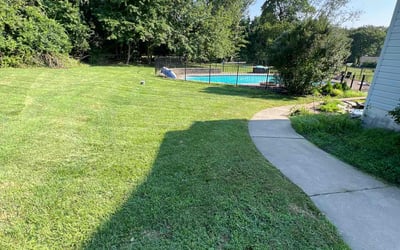 Photo of Sumo A.'s yard after getting lawn care in West Chester, OH