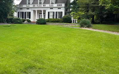 Photo of Alyssa D.'s yard after getting lawn care in Augusta, GA