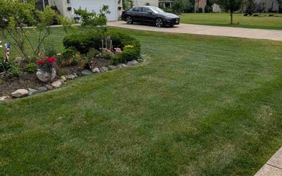 Photo of Courtney I.'s yard after getting lawn care in Belton, MO