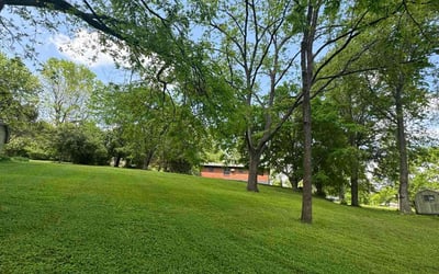 Photo of Tanya W.'s yard after getting lawn care in Nashville, TN