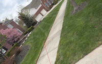 Photo of David W.'s yard after getting lawn care in Middle River, MD