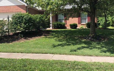 Photo of John S.'s yard after getting lawn care in Brookville, OH