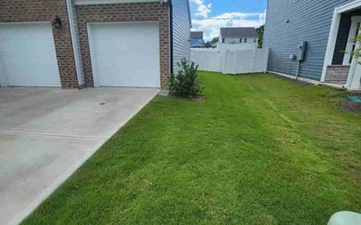 Photo of Allison B.'s yard after getting lawn care in Springfield, NJ