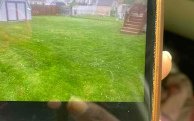 Photo of Tracy W.'s yard after getting lawn care in Wellington, OH