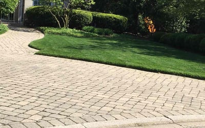 Photo of Nicholas K.'s yard after getting lawn care in Lake Forest, IL