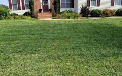 Photo of Lisa E.'s yard after getting lawn care in Salisbury, MD