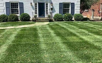 Photo of Jennie P.'s yard after getting lawn care in Taylorsville, KY