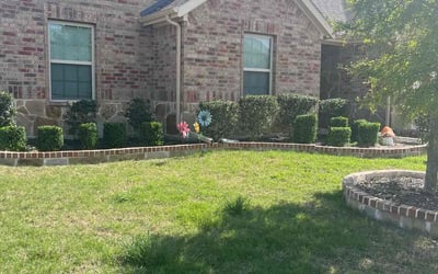 Photo of Jessica G.'s yard after getting lawn care in Irving, TX
