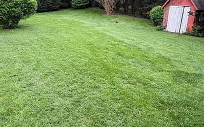 Photo of Penni I.'s yard after getting lawn care in Canton, NC