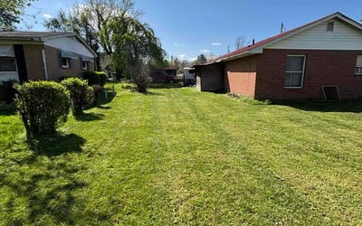 Photo of James J.'s yard after getting lawn care in Hendersonville, NC