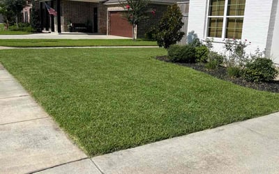 Photo of Sandra G.'s yard after getting lawn care in Visalia, CA