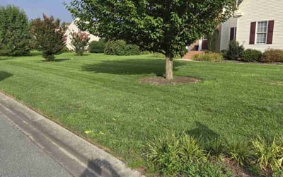Photo of Heather F.'s yard after getting lawn care in Salisbury, MD