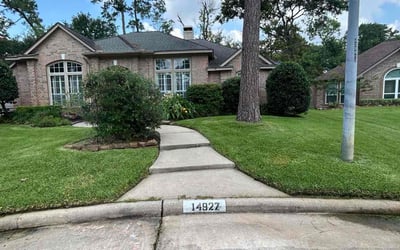Photo of Marc R.'s yard after getting lawn care in Middletown, DE