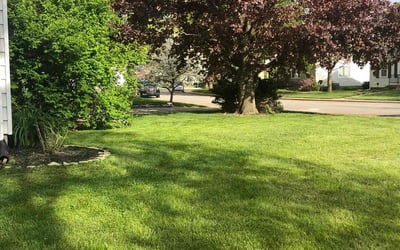 Photo of Thomas R.'s yard after getting lawn care in Brownsburg, IN