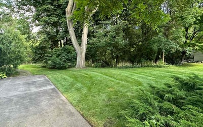 Photo of Hiroko A.'s yard after getting lawn care in Fort Gratiot, MI