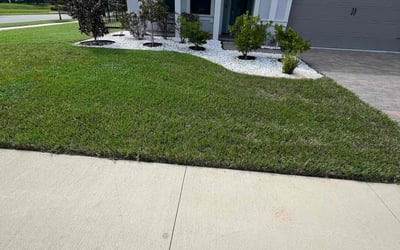 Photo of phillip C.'s yard after getting lawn care in Lutz, FL