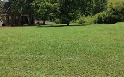 Photo of Sunil K.'s yard after getting lawn care in Englewood, FL