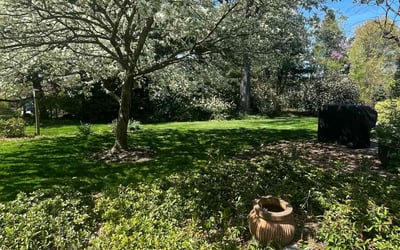 Photo of Steve M.'s yard after getting lawn care in Chalfont, PA