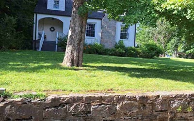 Photo of Nicole L.'s yard after getting lawn care in Columbia, TN