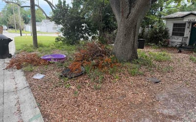 Photo of Dan R.'s yard after getting lawn care in Bremerton, WA
