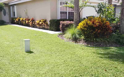 Photo of Rachael L.'s yard after getting lawn care in Boynton Beach, FL