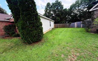 Photo of Carolyn T.'s yard after getting lawn care in Hendersonville, TN