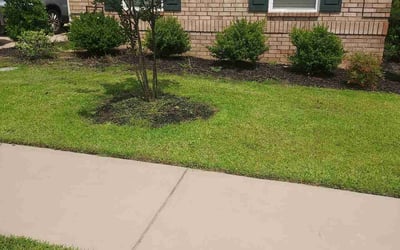 Photo of Wes S.'s yard after getting lawn care in Hephzibah, GA