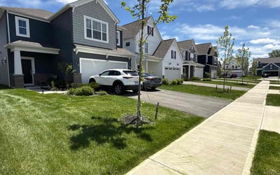 Photo of Ann G.'s yard after getting lawn care in Southfield, MI