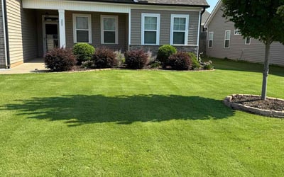 Photo of Calvin P.'s yard after getting lawn care in Mebane, NC
