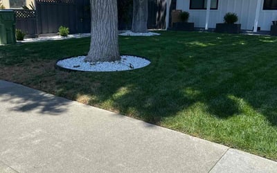 Photo of Samantha B.'s yard after getting lawn care in Santa Clara, CA